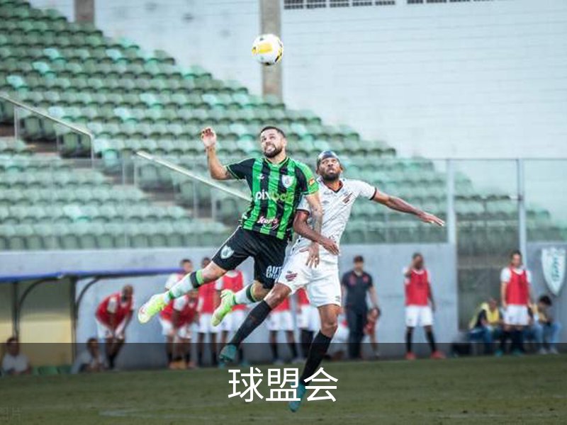 球盟会概况